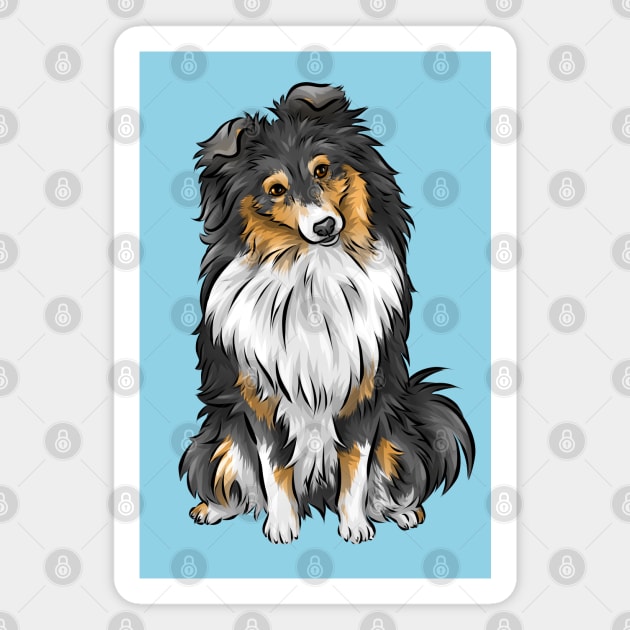 Sheltie | Shetland Sheepdog | Tricolour | Cute Dog Art Magnet by Shirin Illustration